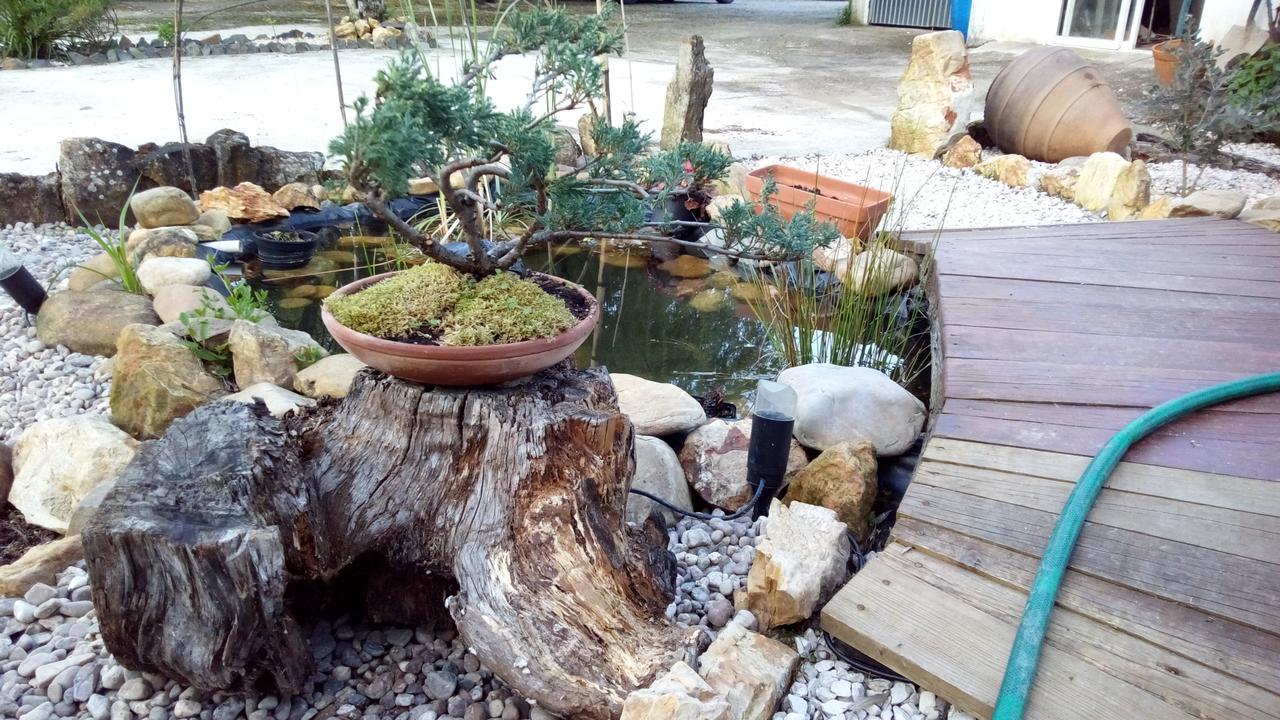 Chao Da Lousa Dornes Zewnętrze zdjęcie